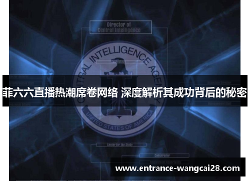 菲六六直播热潮席卷网络 深度解析其成功背后的秘密