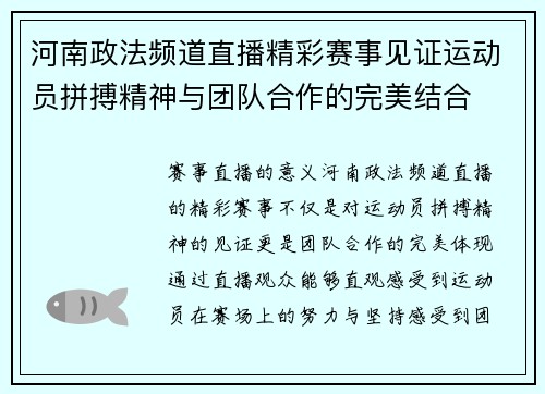 河南政法频道直播精彩赛事见证运动员拼搏精神与团队合作的完美结合